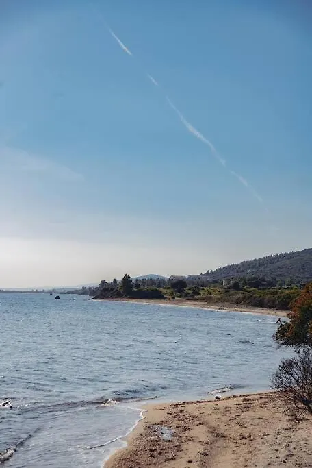Bs Village Green Μεταμόρφωση 0*,  Ελλάδα